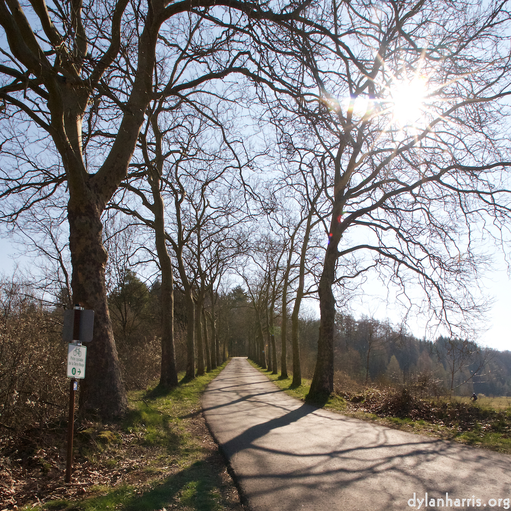 image: Image 'terres rouges (xiii) 2'