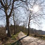 image: Image from the photoset &lsquo;terres rouges (xiii)&rsquo;.