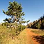 image: Image from the photoset &lsquo;terres rouges (xiii)&rsquo;.