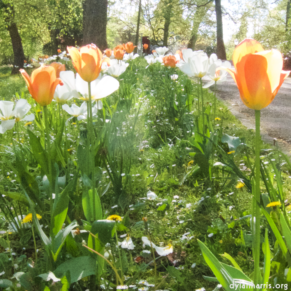 image: This is &lsquo;escher blummen (iii) 4&rsquo;.