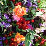 Fifth image from the photoset 'flower (iv)'.