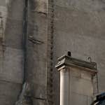 Image: Sixth image from the photoset 'monade'.