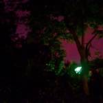 image: Image from the photoset &lsquo;montmartre (xi)&rsquo;.