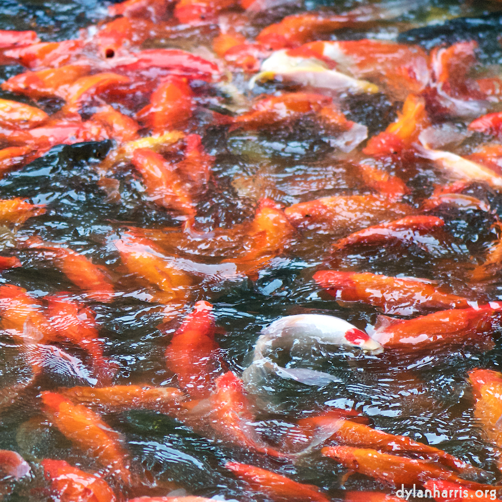 Image 'beijing (iii) 1'.