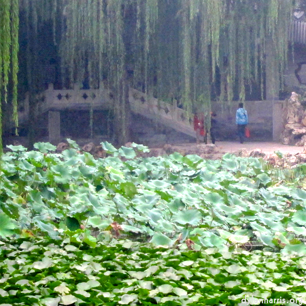 Image 'beijing (iii) 4'.