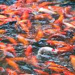 First image from the photoset 'beijing (iii)'.