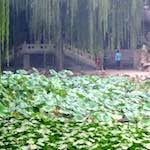 Fourth image from the photoset 'beijing (iii)'.