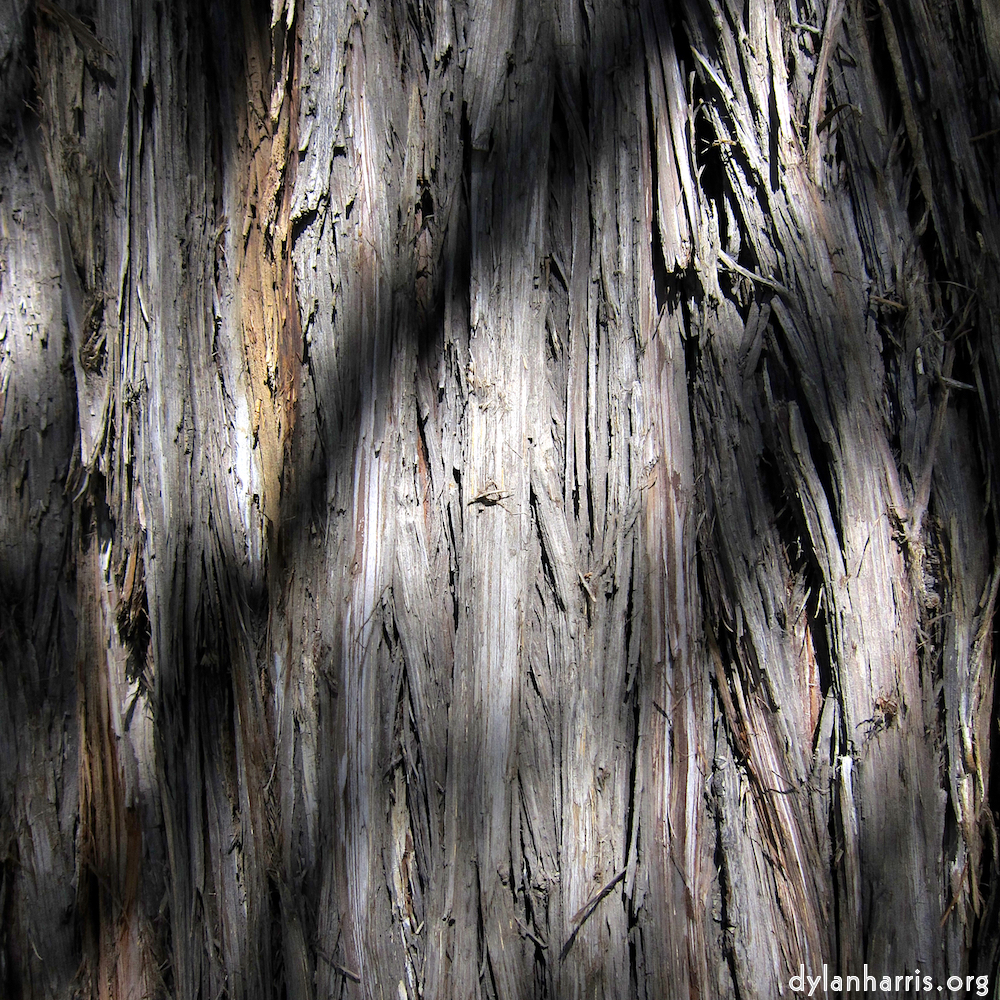 Image 'beijing (iv) 1'.