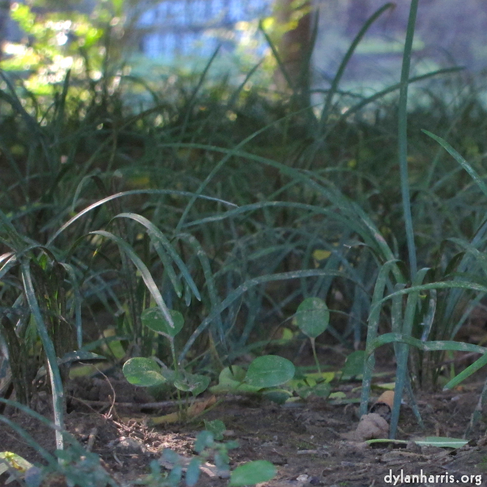 Image 'beijing (iv) 3'.