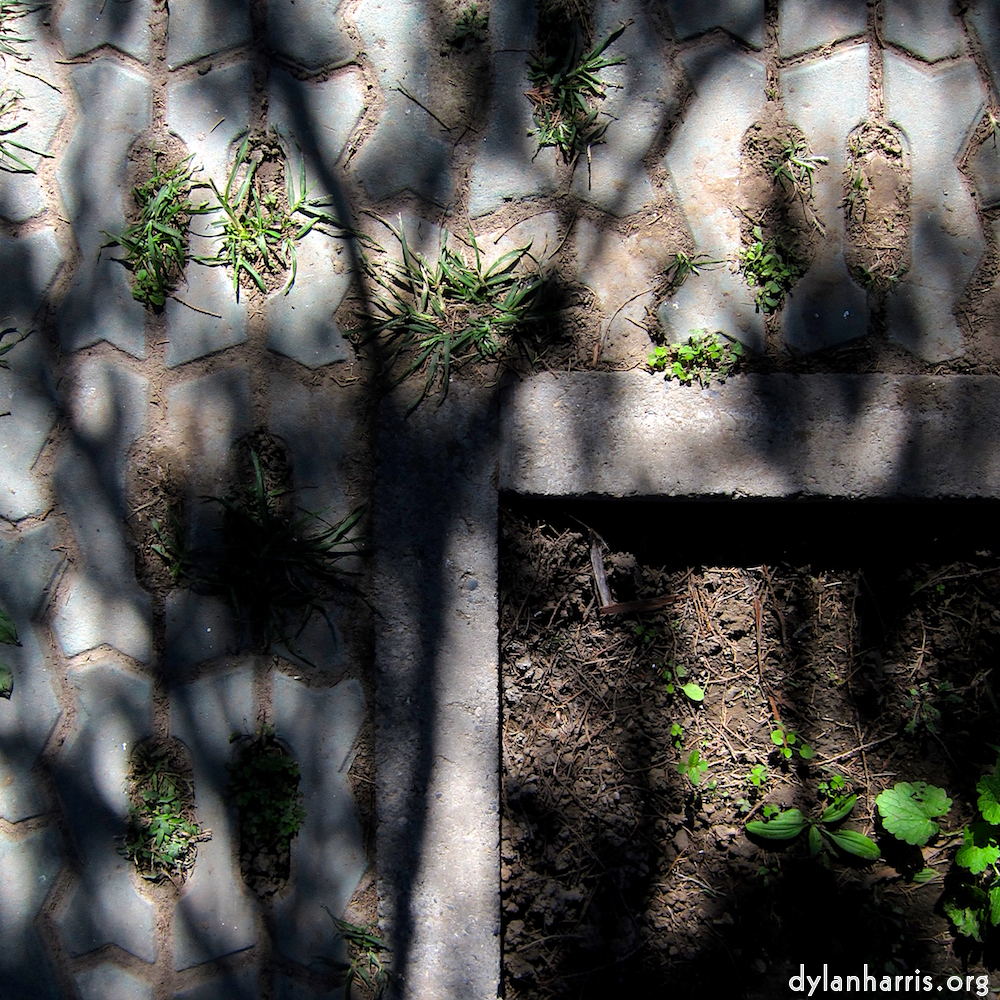 Image 'beijing (iv) 4'.