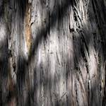 First image from the photoset 'beijing (iv)'.