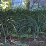 Third image from the photoset 'beijing (iv)'.