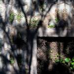 Fourth image from the photoset 'beijing (iv)'.