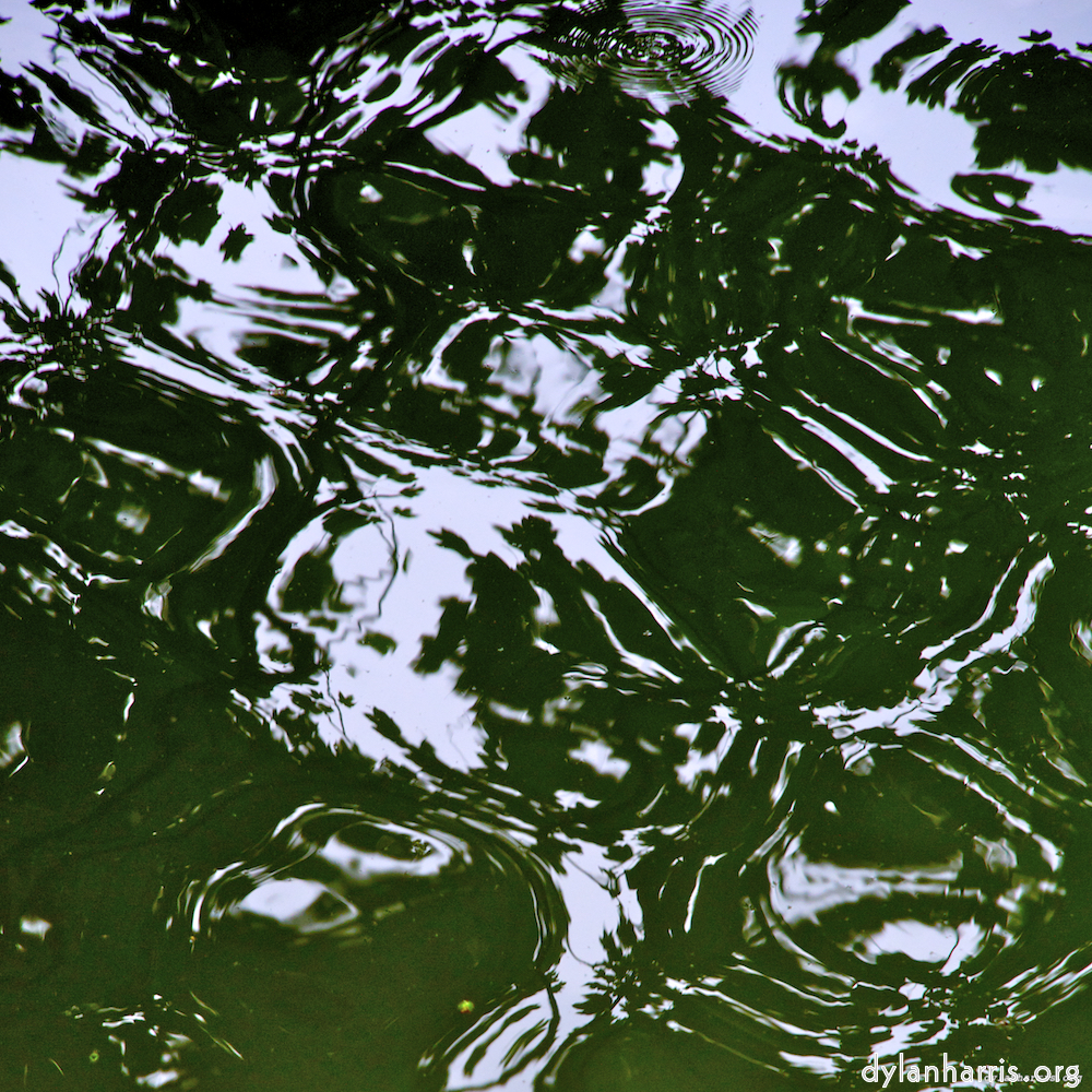 Image 'parc (iv) 2'.