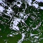 Second image from the photoset 'parc (iv)'.