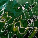 Third image from the photoset 'mechelen (ii)'.