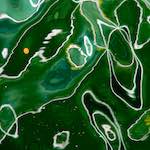 Fourth image from the photoset 'mechelen (ii)'.