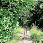 Image: Third image from the photoset 'esch&ndash;sur&ndash;alzette (xv)'.