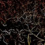 Seventh image from the photoset 'nuit (iv)'.