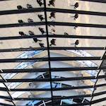 image: Image from the photoset &lsquo;berlin (ii)&rsquo;.