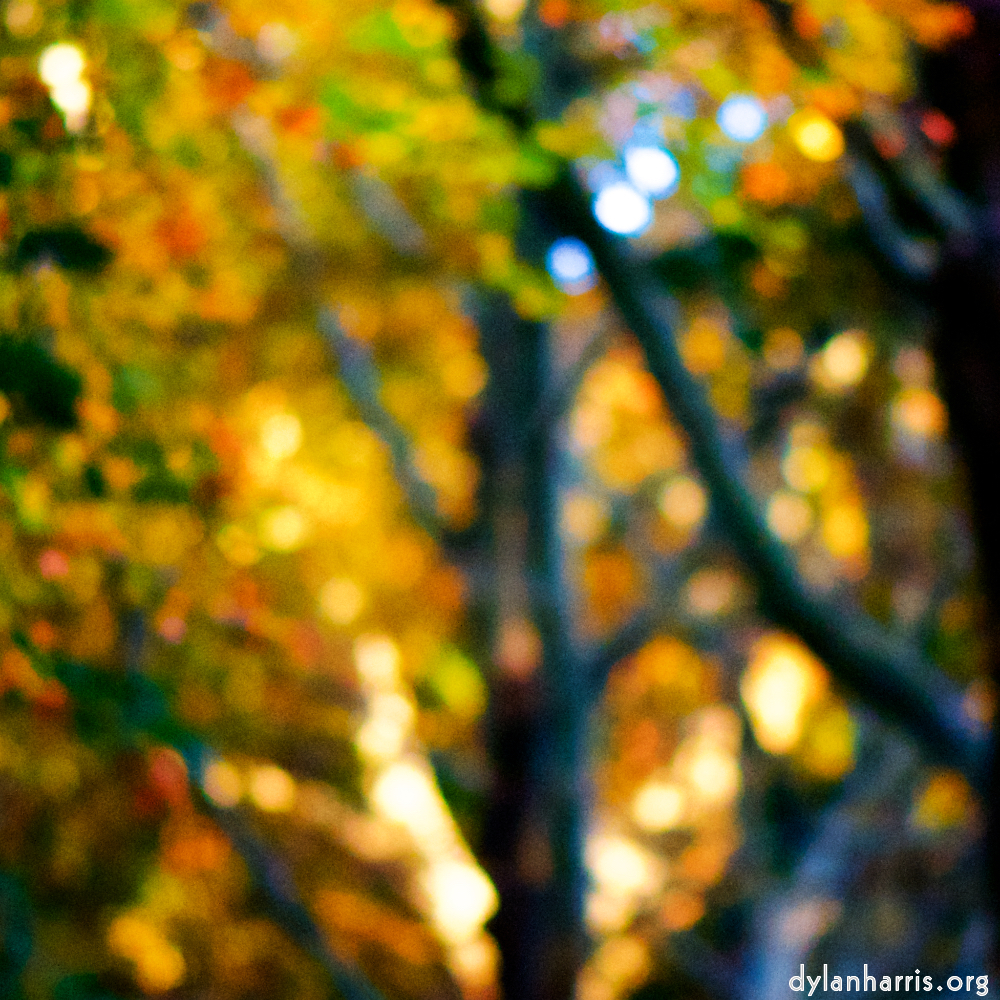 image: This is &lsquo;parc (xxxiv) 4&rsquo;.