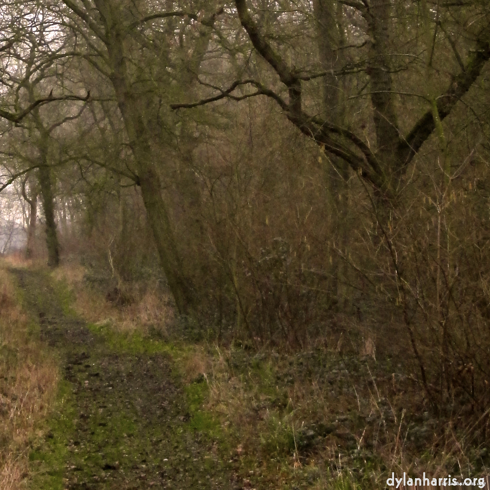 Image: Image 'swineshead (vi) 1'.