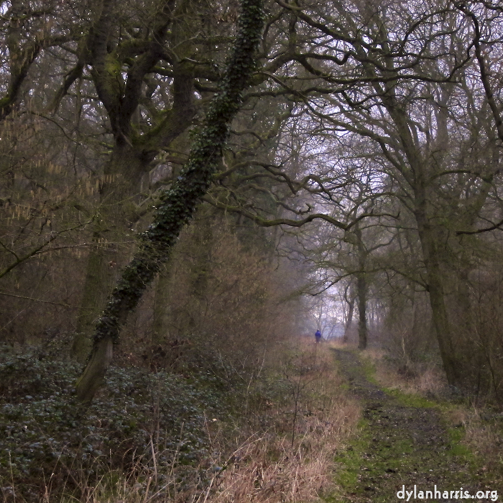 Image 'swineshead (vi) 9'.