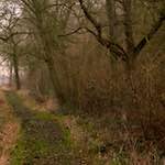 First image from the photoset 'swineshead (vi) &mdash; buster&rsquo;s vanished'.