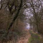 Ninth image from the photoset 'swineshead (vi) &mdash; buster&rsquo;s vanished'.