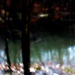 image: Image from the photoset &lsquo;terres rouges (x)&rsquo;.