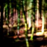 image: Image from the photoset &lsquo;terres rouges (x)&rsquo;.