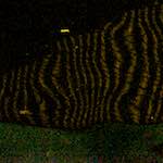 Third image from the photoset 'delft (ii)'.