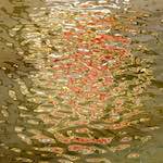 Fifth image from the photoset 'delft (ii)'.