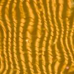 Sixth image from the photoset 'delft (ii)'.