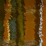 Eighth image from the photoset 'delft (ii)'.