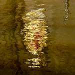 First image from the photoset 'delft (iii)'.