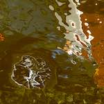 Fourth image from the photoset 'delft (iii)'.