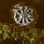 Sixth image from the photoset 'delft (iii)'.