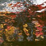 Eighth image from the photoset 'delft (vii)'.