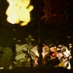 Sixth image from the photoset 'delft (x)'.