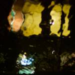 Eighth image from the photoset 'delft (x)'.