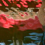 Ninth image from the photoset 'delft (x)'.