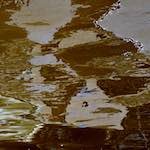 Eighth image from the photoset 'delft (xi)'.