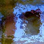 Ninth image from the photoset 'delft (xi)'.