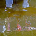 Fourth image from the photoset 'delft (xii)'.