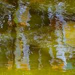 Sixth image from the photoset 'delft (xii)'.