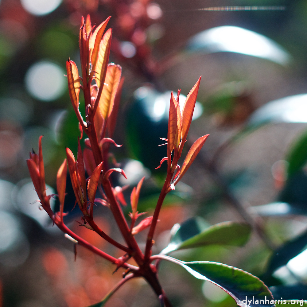 image: This is &lsquo;parc (xxv) 2&rsquo;.