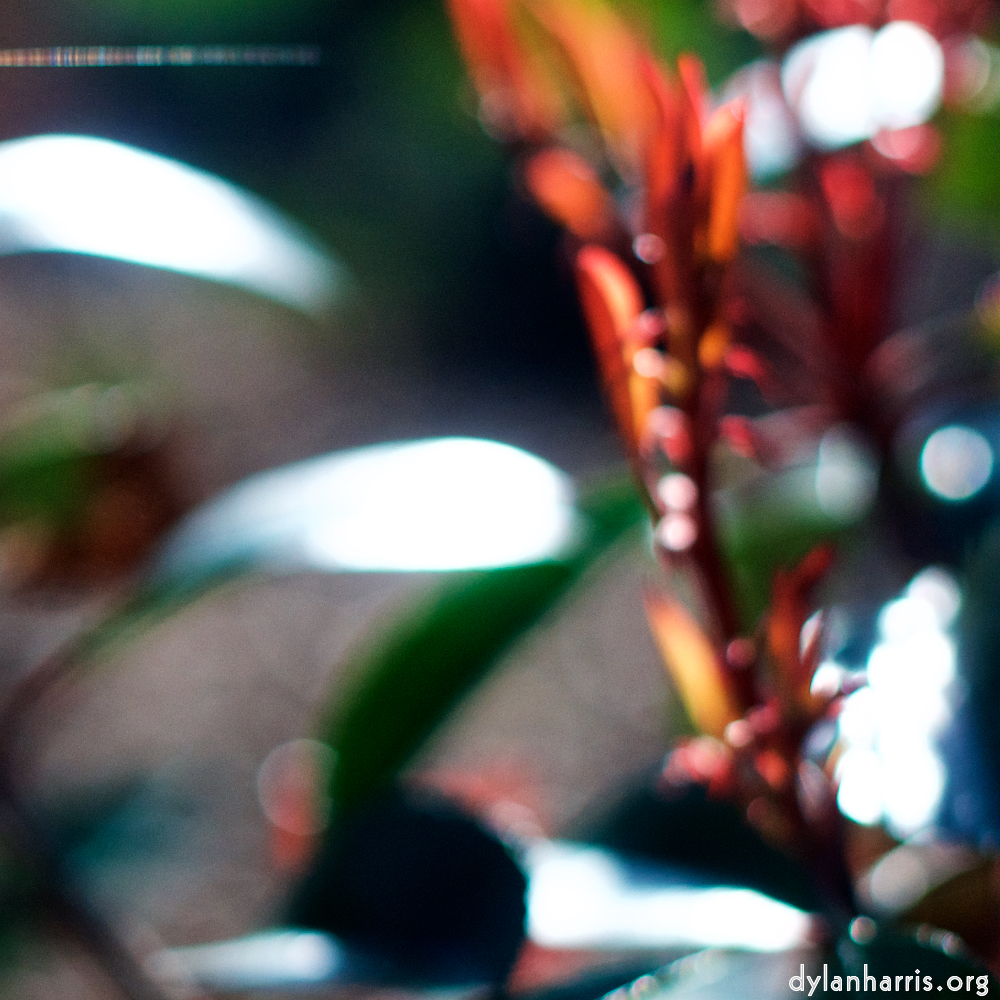 Image: Image 'parc (xxv) 4'.