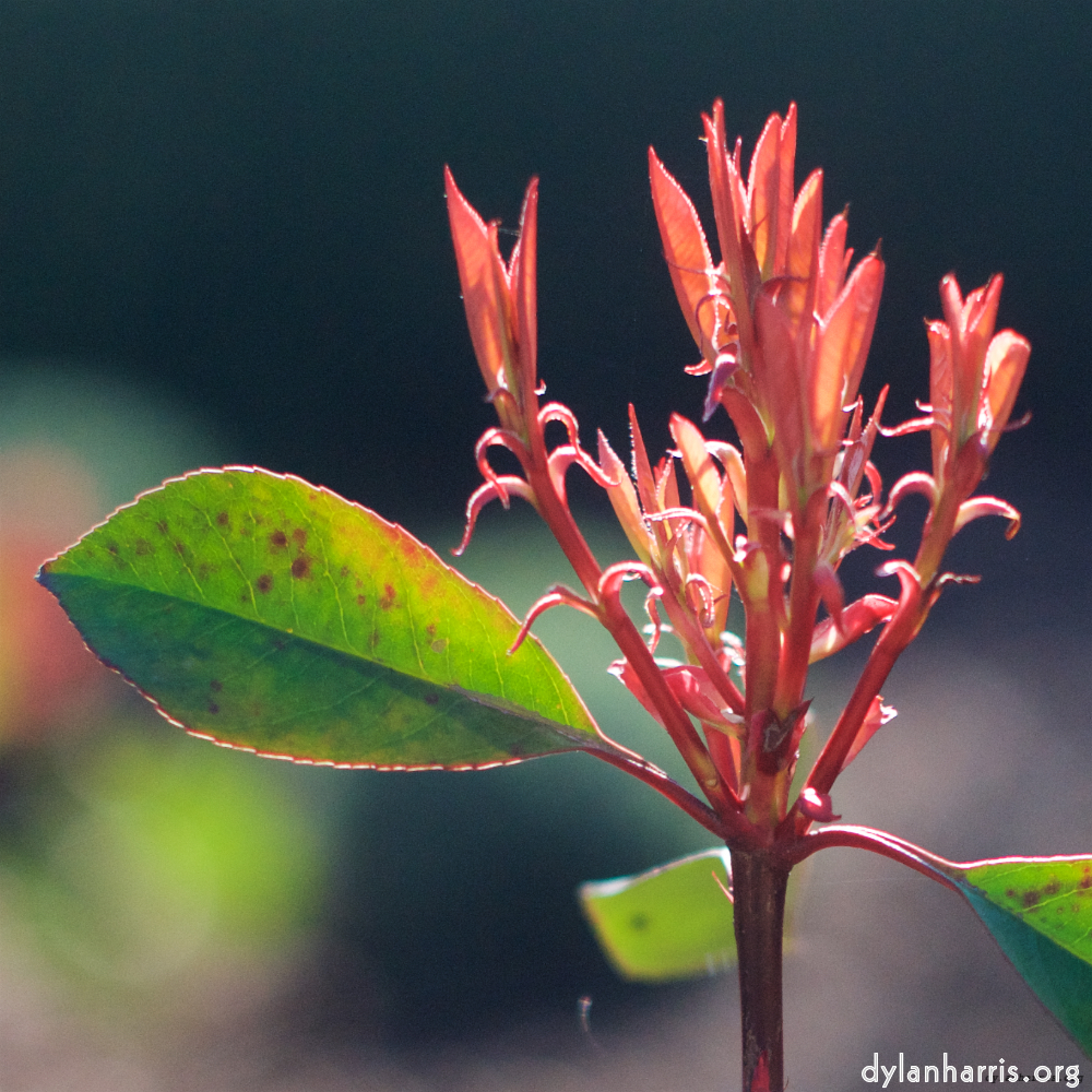 image: This is &lsquo;park (xxv) 6&rsquo;.