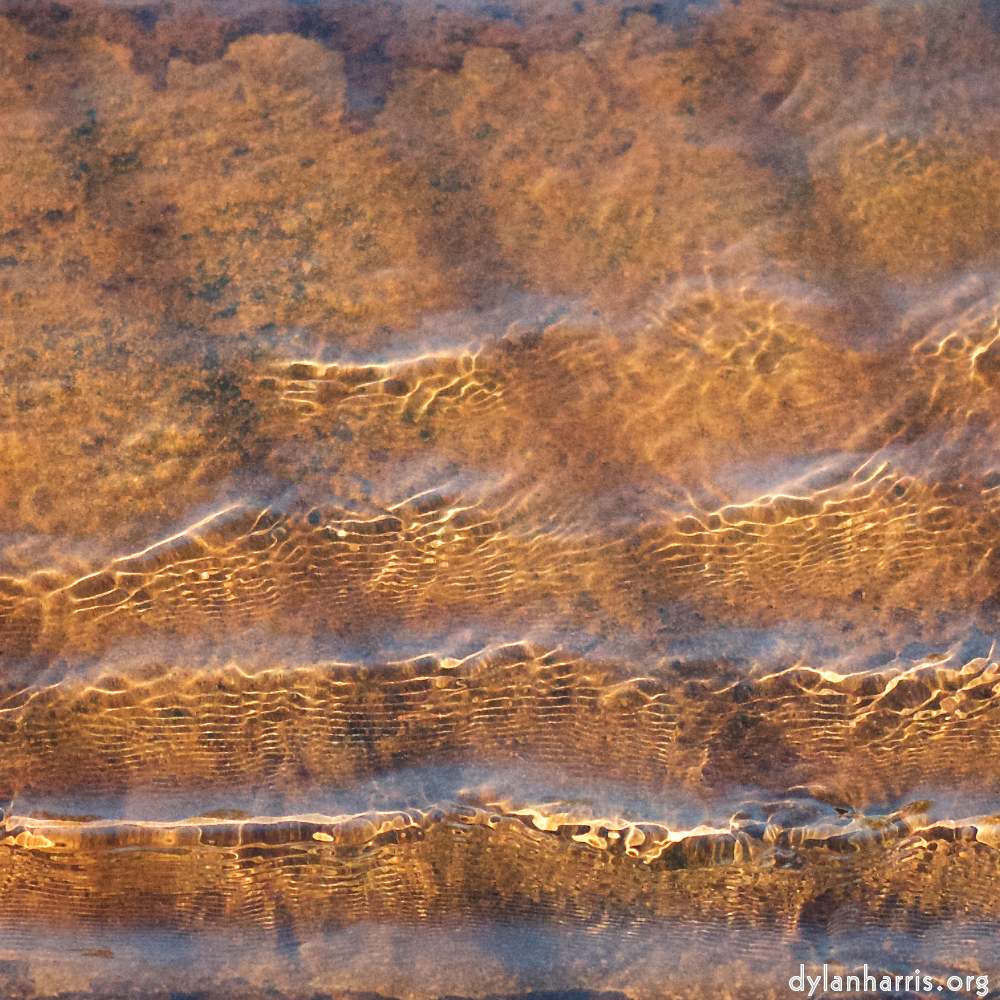 image: This is &lsquo;escher blummen (cxxii) 1&rsquo;.